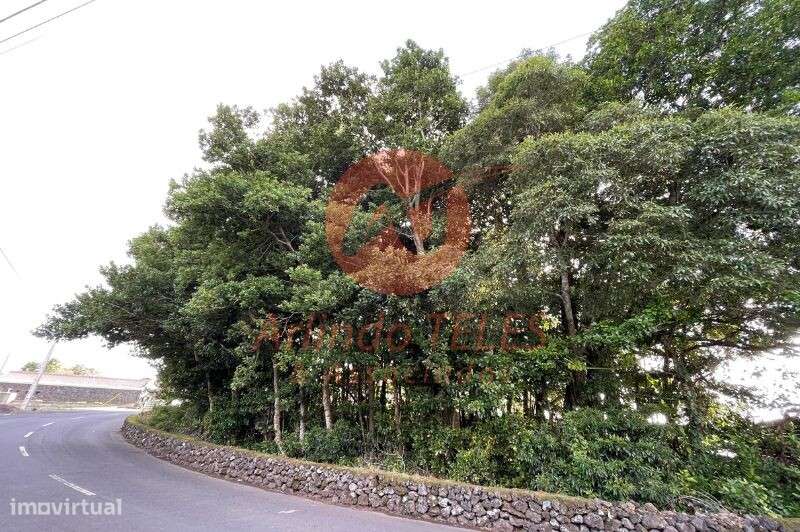 Venda Terreno - Grande imagem: 4/13