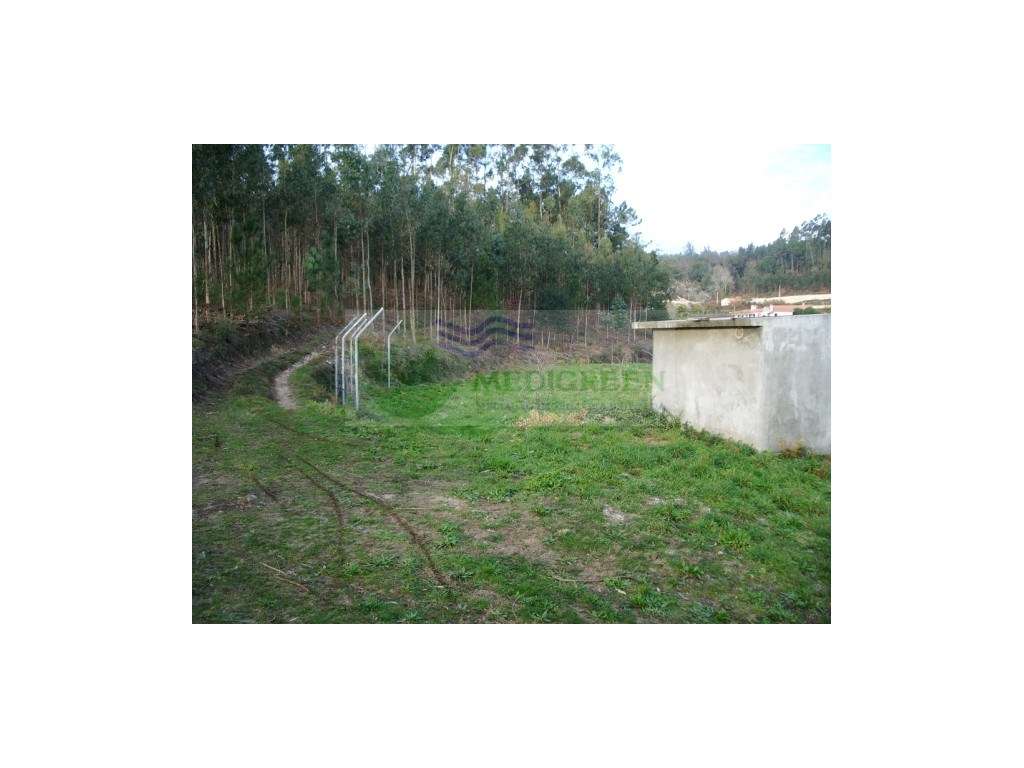 QUINTA EM ROCAS DO VOUGA, SEVER DO VOUGA - Grande imagem: 4/5