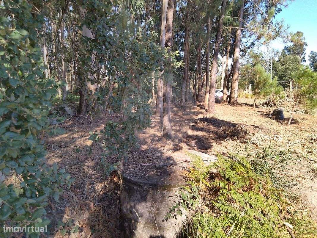 Terreno  para venda-6