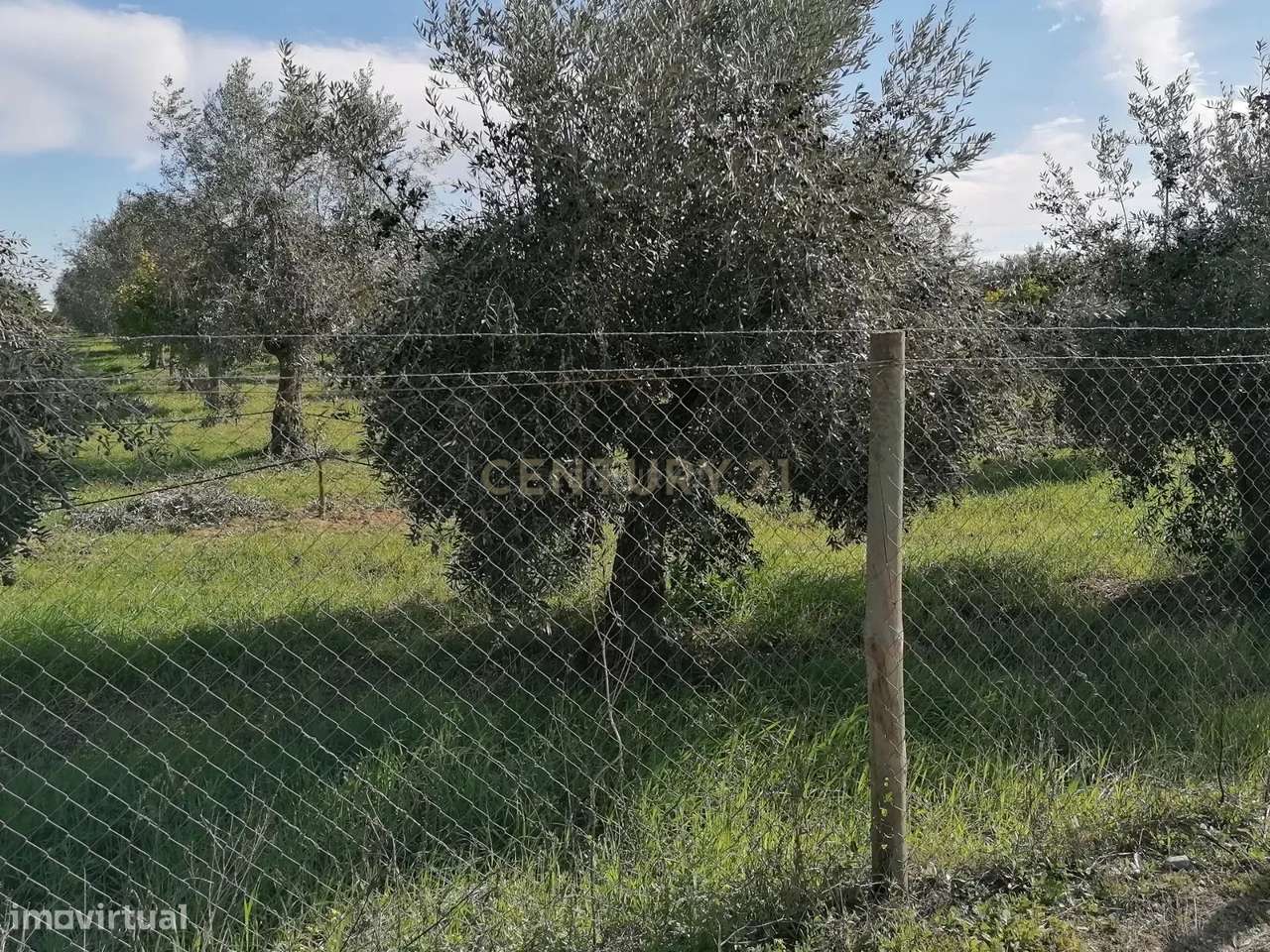 Quinta no Carapetal-13