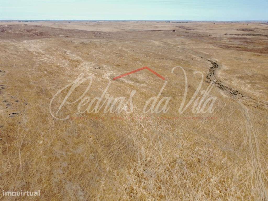 Propriédade de 119ha com varias ruinas - Castro Verde-41