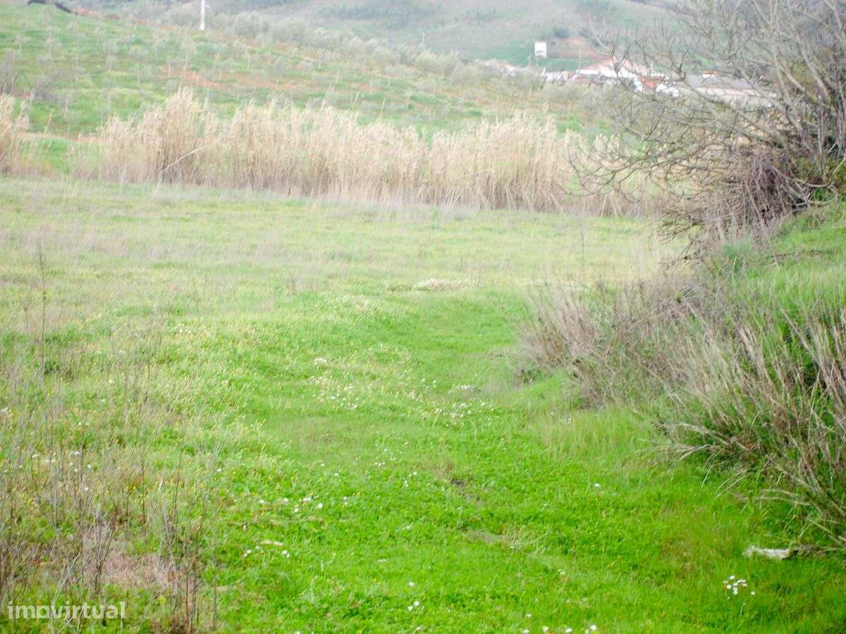 Terreno com 22.920m2 e Poço - Grande imagem: 5/9