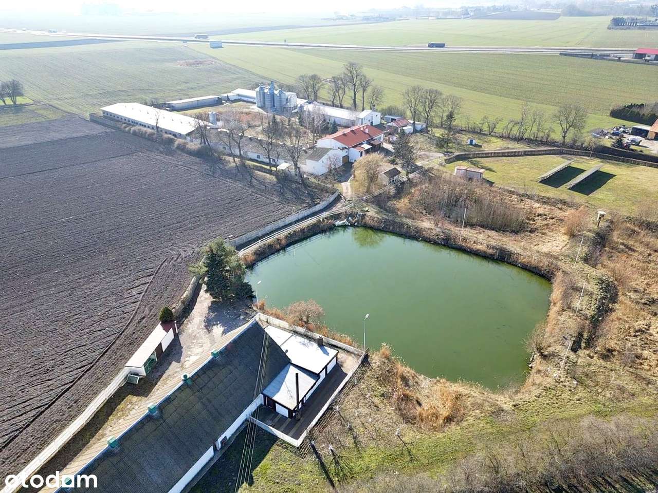 Ferma drobiu (5 budynków)+2 domy/ 2,77ha/kurniki - Pełny obrazek: 4/20