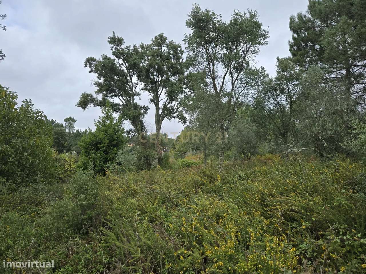 Terreno, 140 m², Castelo - Grande imagem: 5/8