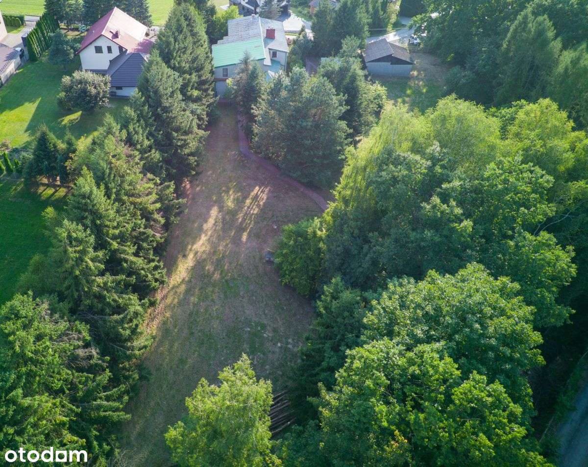 Duży dom z dużą działką, z potencjałem - Pełny obrazek: 5/20