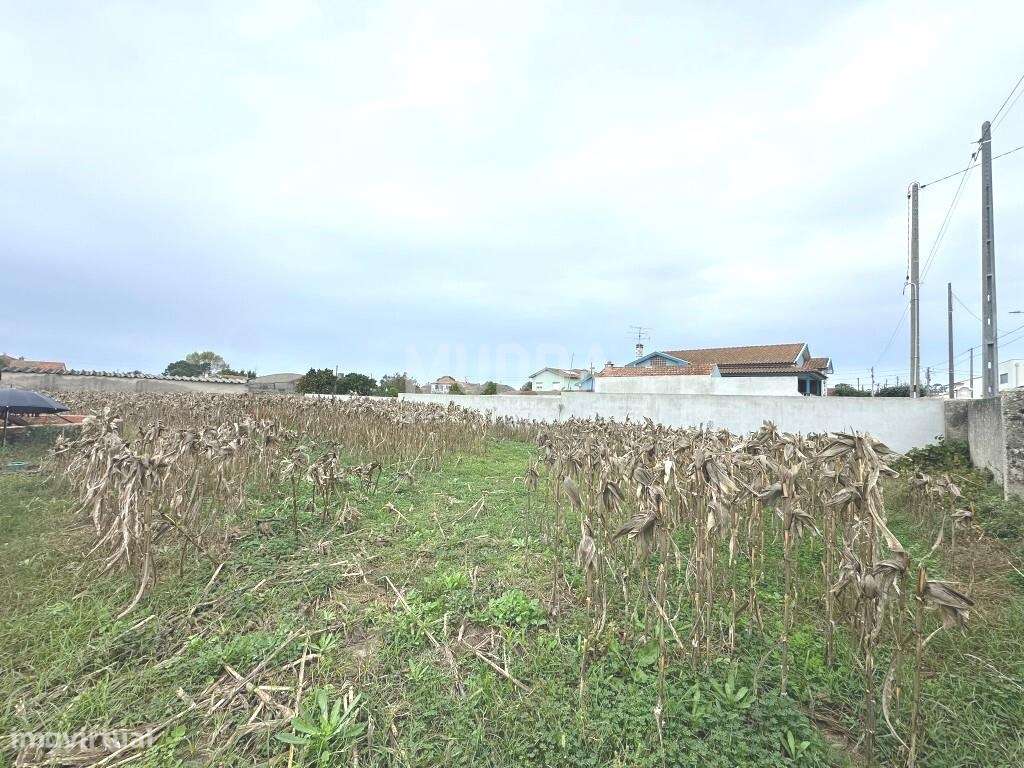 Terreno rústico com viabilidade para construção, Veiros, Estarreja-4