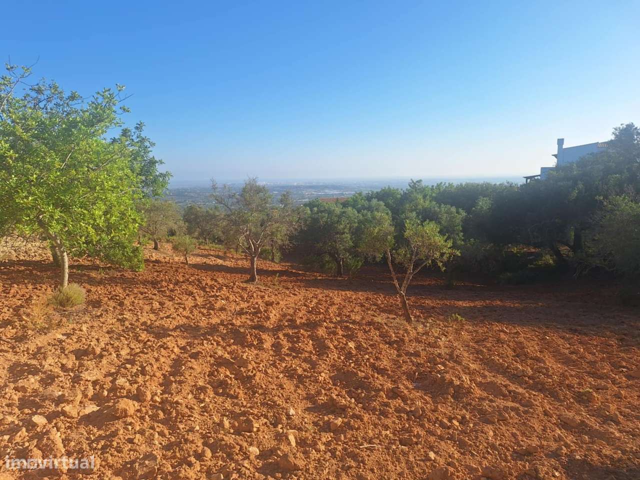 Terreno Rústico a 10km de Estoi-3