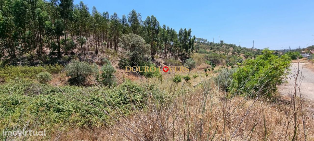 Terreno com Casa para Recuperar, Portimão, faro