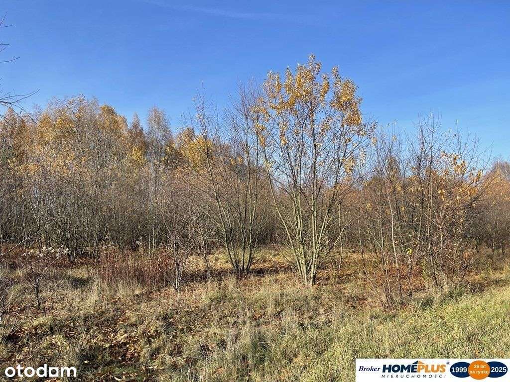 Działka budowlana 5428 m² Słupno – wszystkie media - Pełny obrazek: 4/4