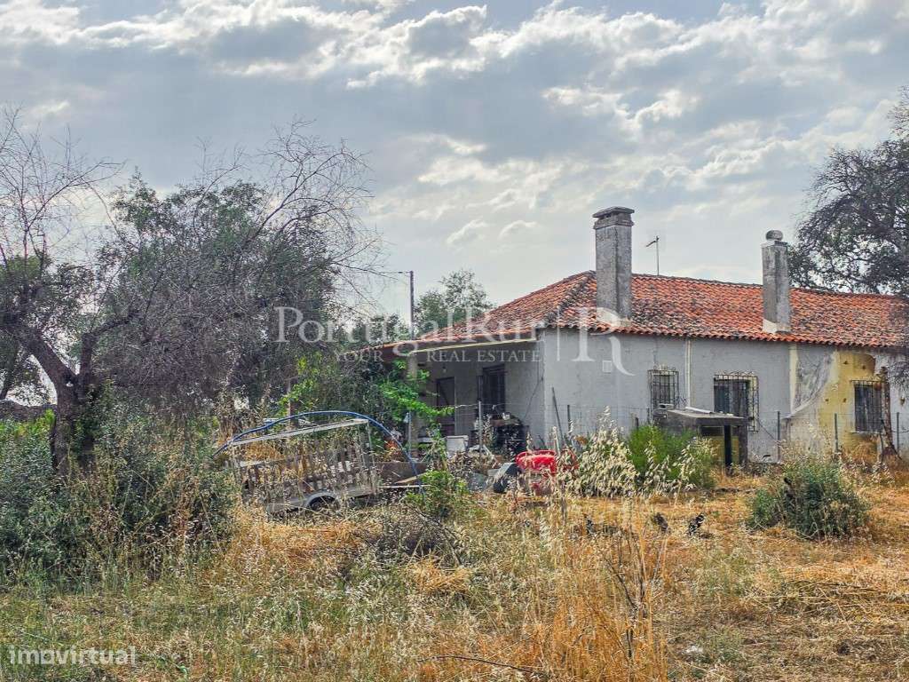 Quintinha de 1.8 hectares em Medelim-25