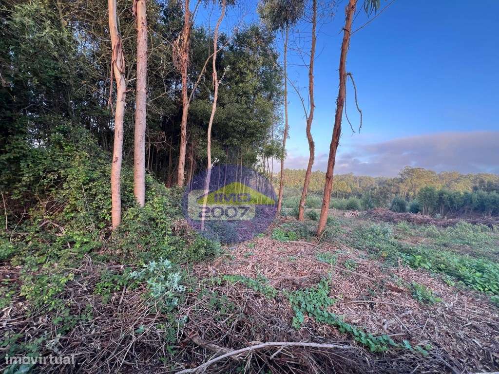 Lote para moradia em Serzedo - Grande imagem: 4/13