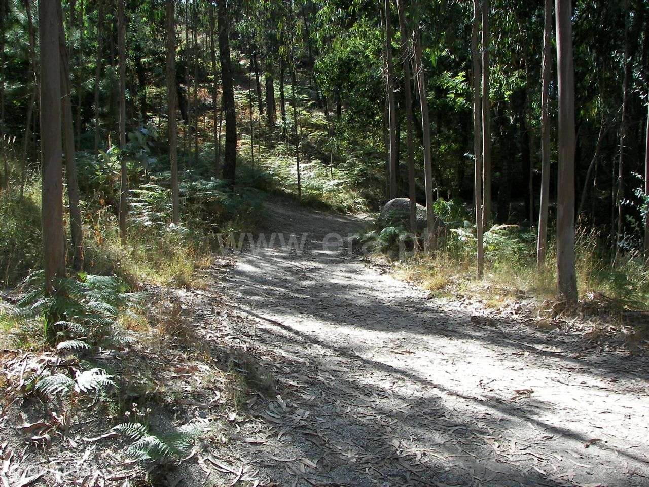 Terreno em Armil - Grande imagem: 3/17