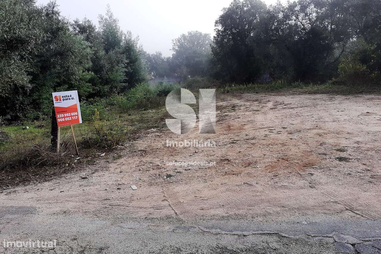 Terreno Freixo Lousã - Grande imagem: 4/12