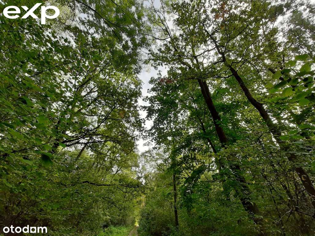 Gotowe*45m2 ogrodu odstrony patio*spokojna okolica-17