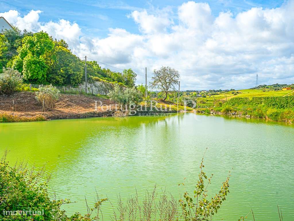 Quinta agrícola de 9,3ha com produção intensiva e totalmente equipada - Grande imagem: 4/11