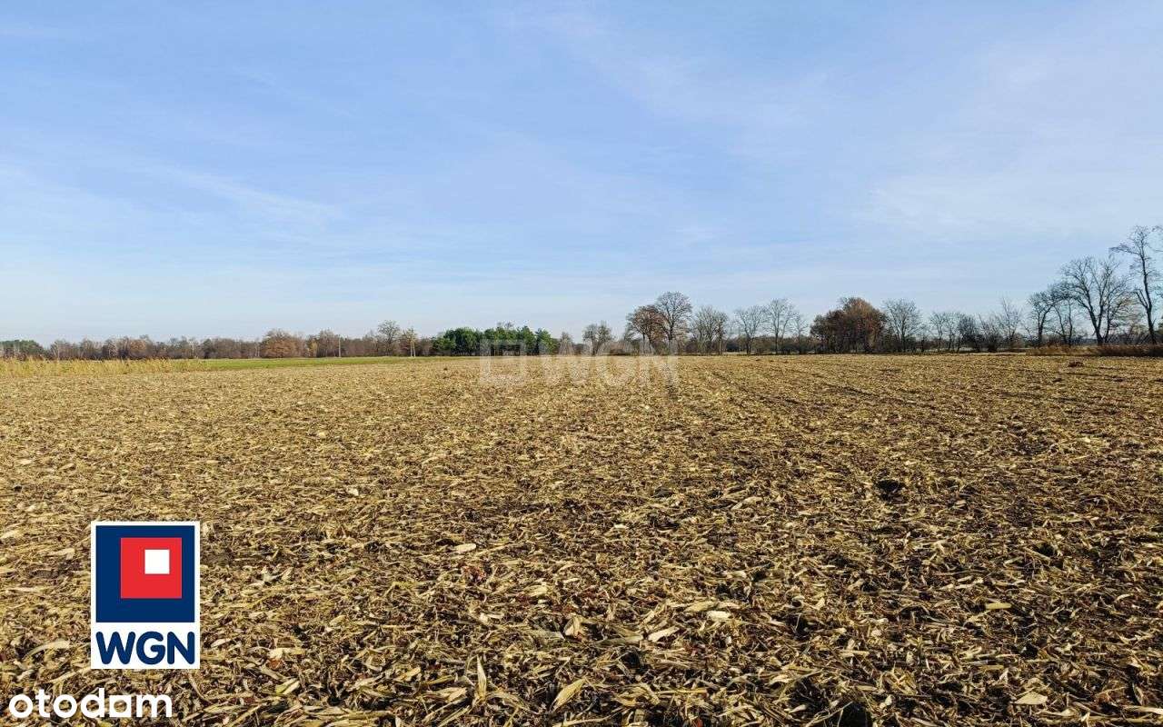 Działka, 143 738 m², Kuźnica Janiszewska-1