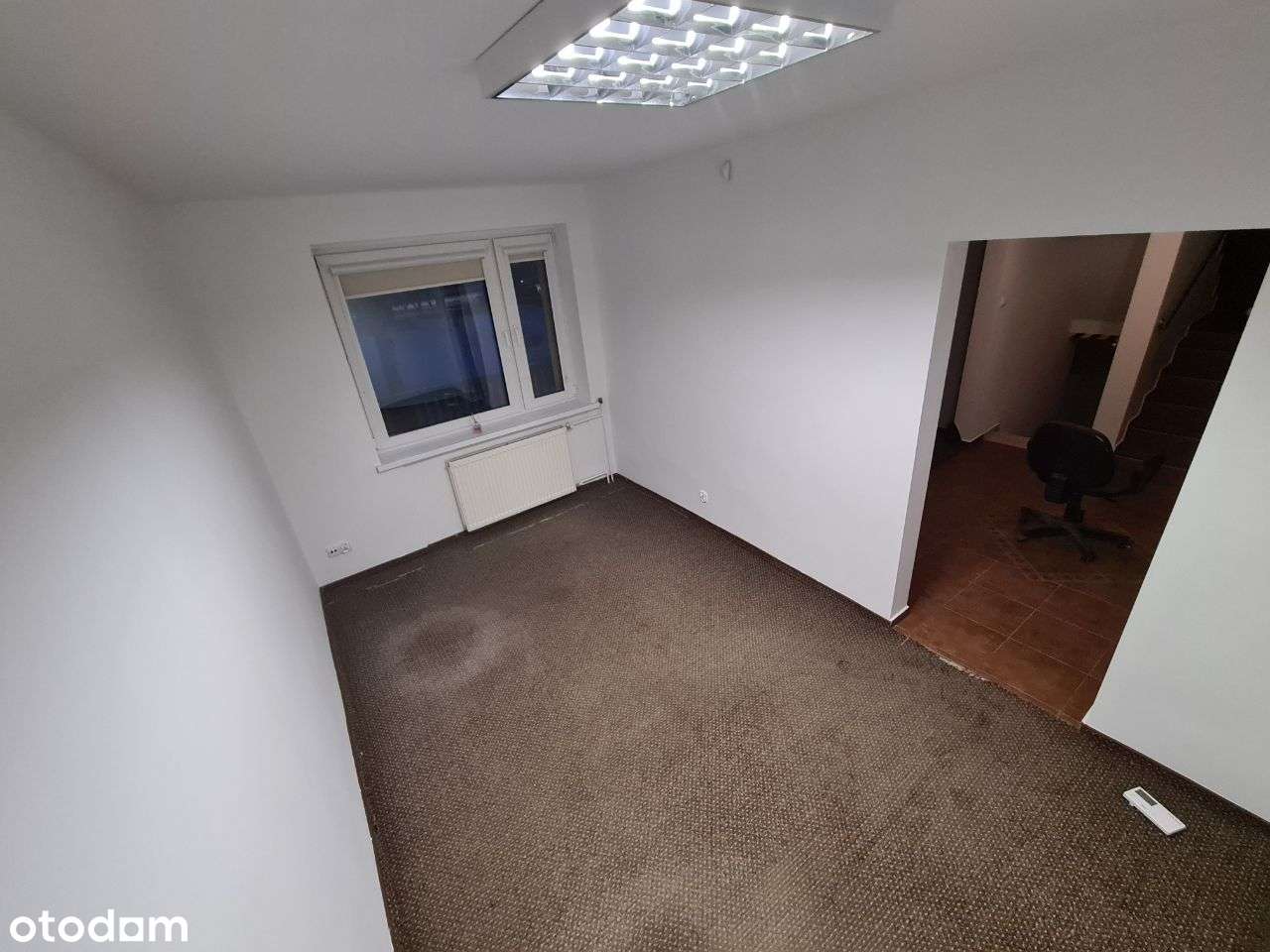 Dom, Hala magazynowa, Biuro, Parking, ogród - Pełny obrazek: 4/20