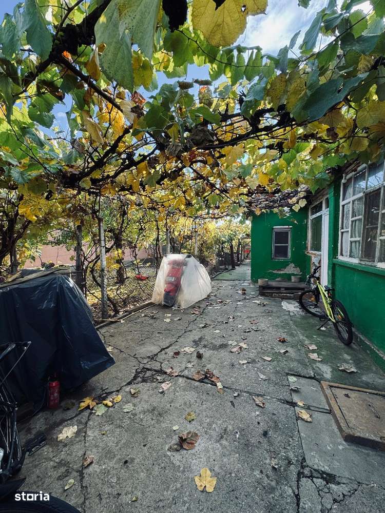 AV661 Casa individuala, pe parter, Pischia, zona linistita - Imagine principală: 4/20