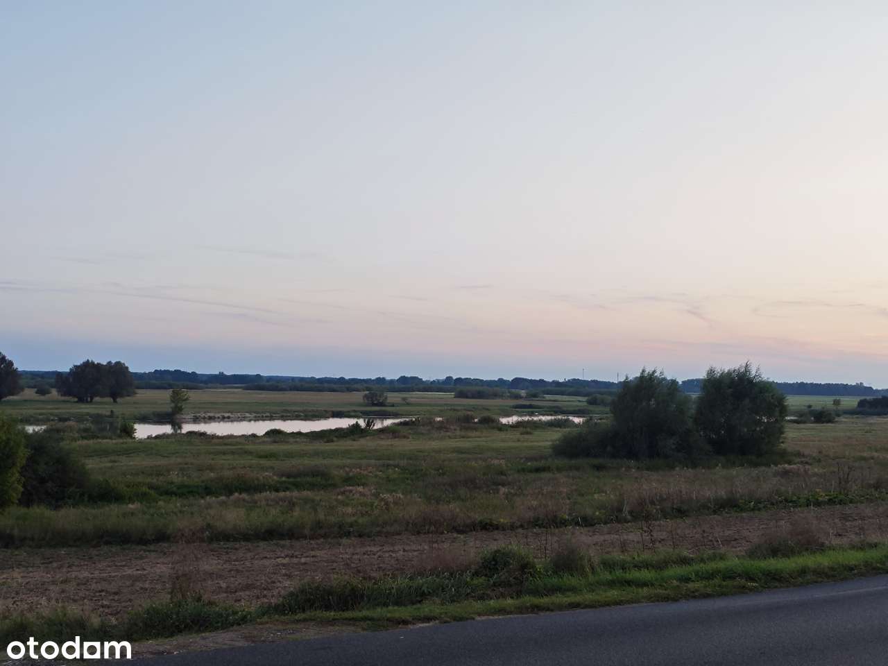 Łąka nad rzeką Wartą pomiedzy Górkami a Santokiem o pow. 1,52 ha - Pełny obrazek: 3/3