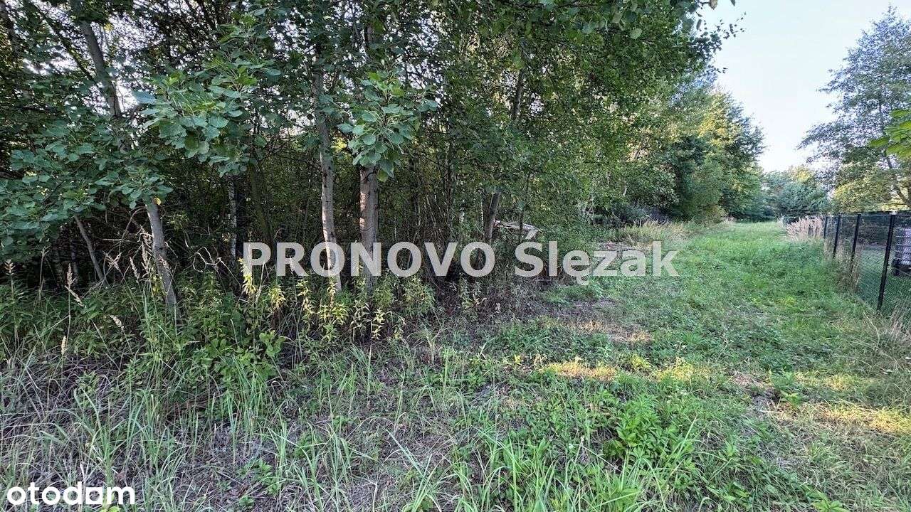 Sprzedam działkę budowlaną Morzęcin Mały-3