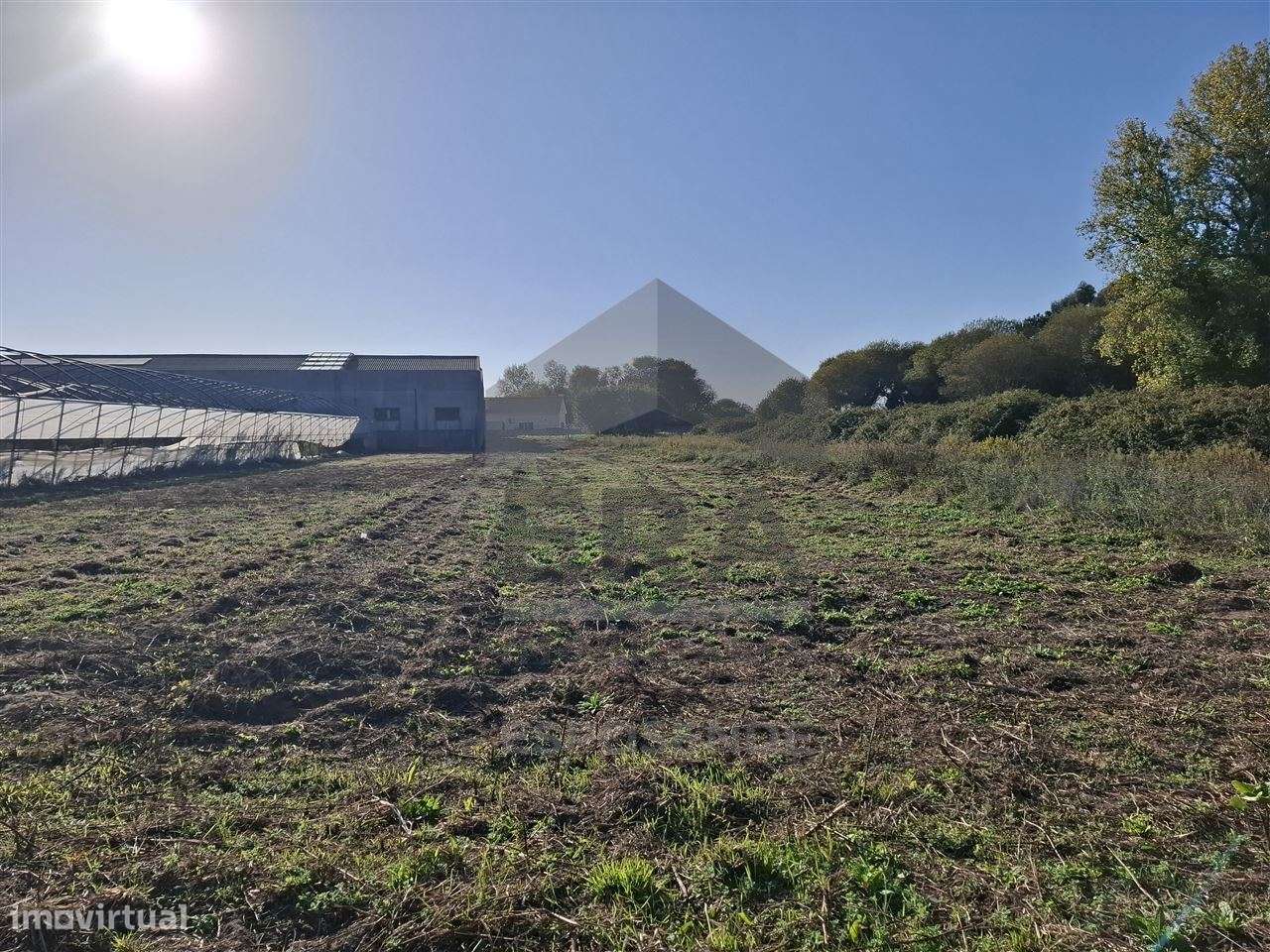 Terreno agrícola Belinho - Grande imagem: 5/7