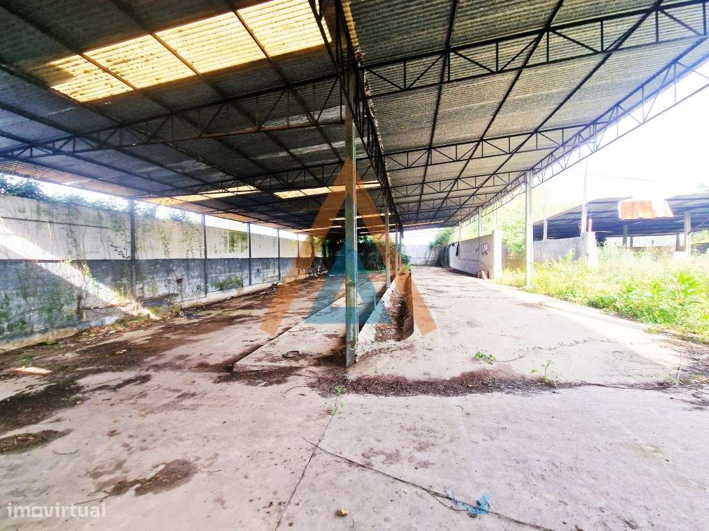 Maravilhosa quinta com casa e terreno-29
