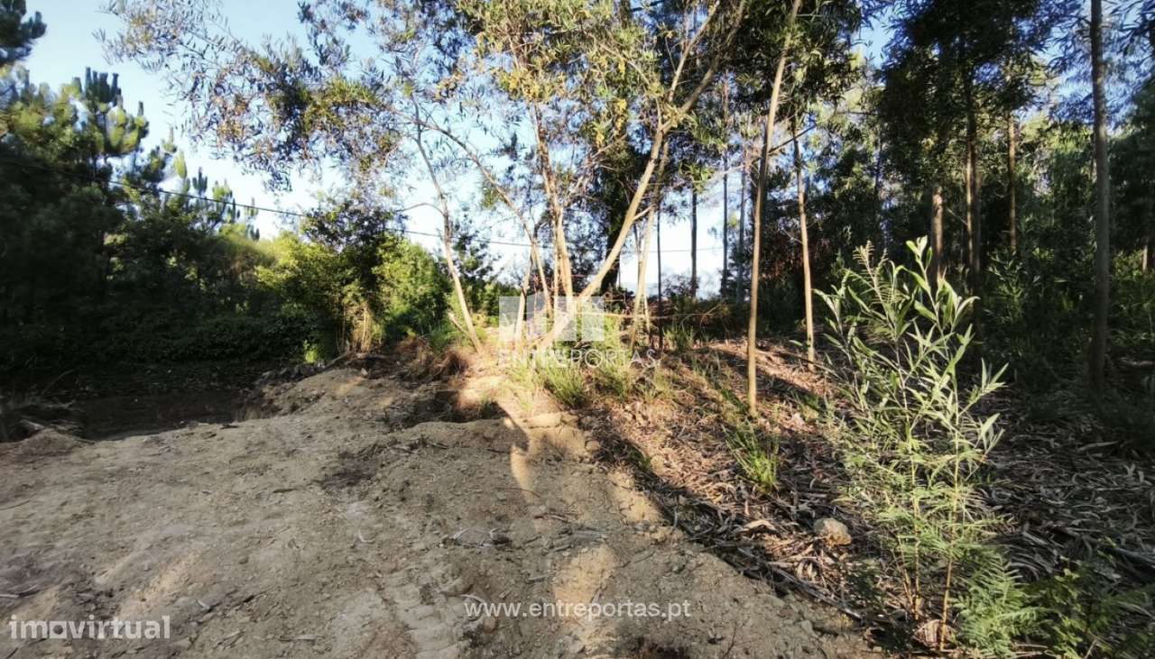 Venda de Terreno para construção, Meixedo, Viana do Castelo - Grande imagem: 2/19