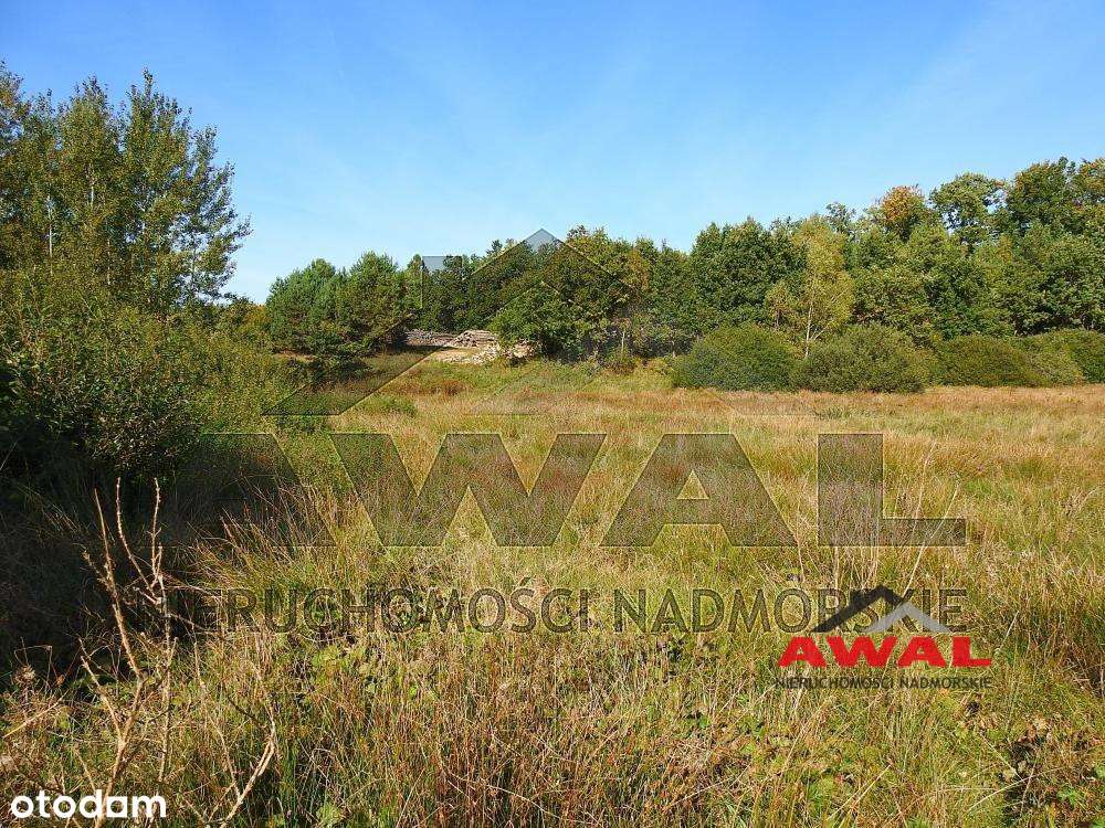 Duża działka rolna w Leśniewie blisko lasu-2