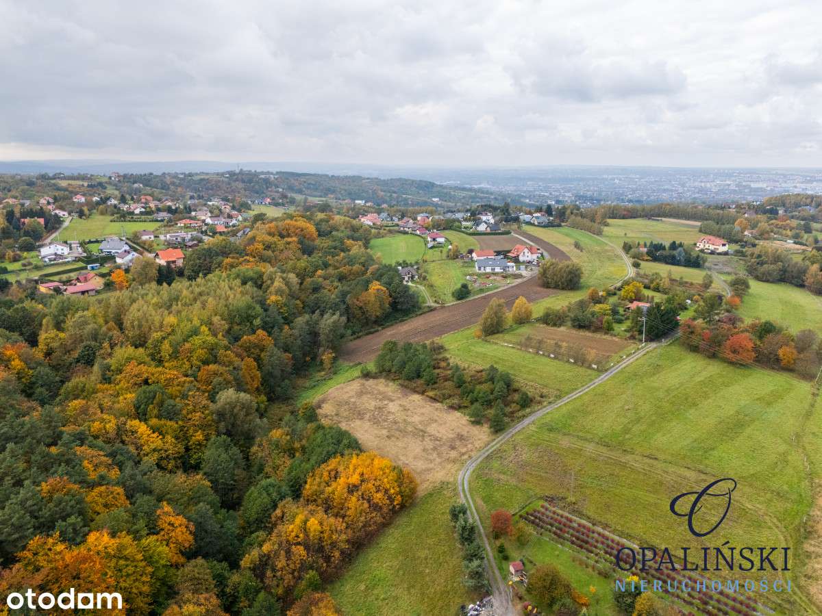 Działka pod lasem 16,80 ar z warunkami zabudowy - Pełny obrazek: 5/20