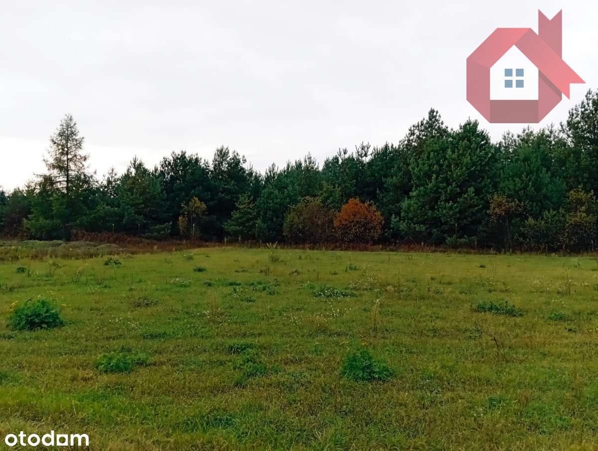 Działka 1726 m2 z prądem , Henryszew k/ Żyrardów-9