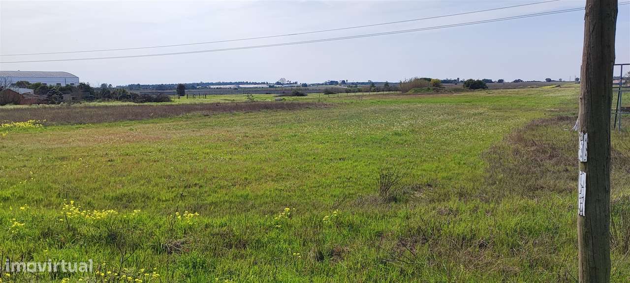 Terreno urbanizável para venda em Taipadas - Canha - Montijo - Grande imagem: 5/42