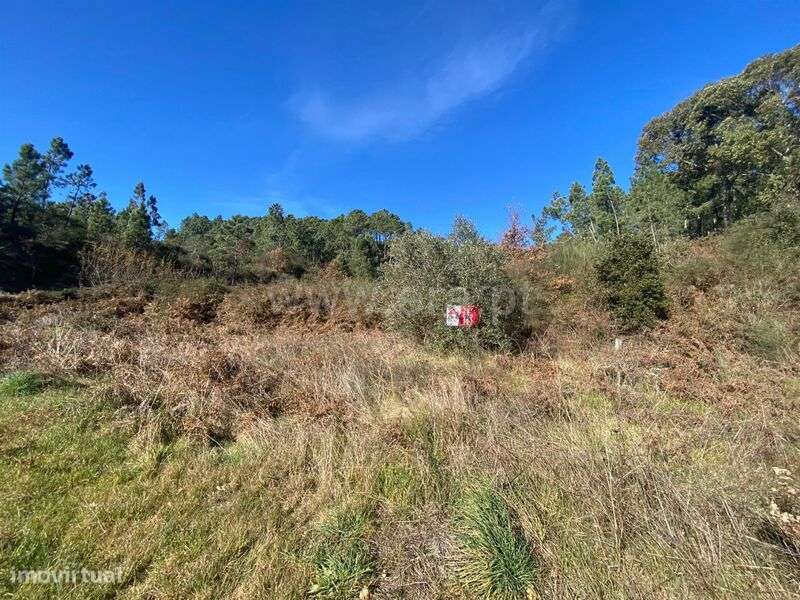 Terreno / Baião, Ancede e Ribadouro - Grande imagem: 5/9