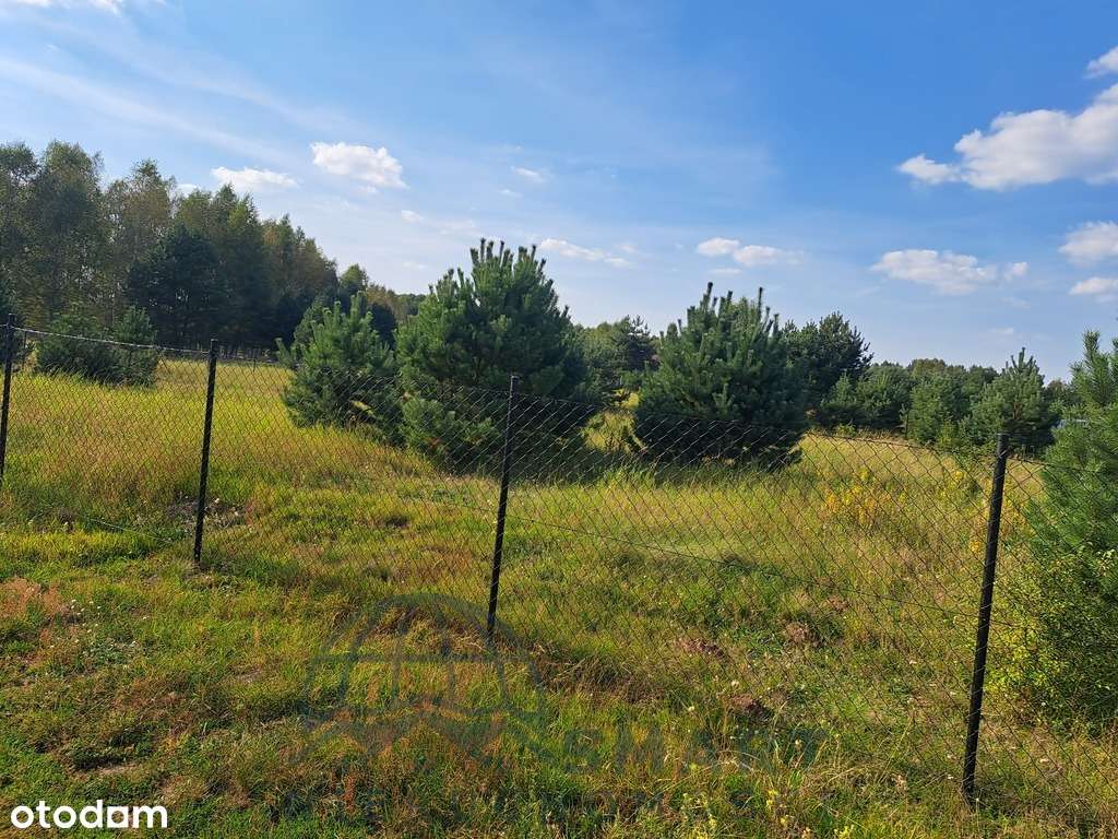 Działka pod DOM blisko jeziora? To ona. - Pełny obrazek: 5/10