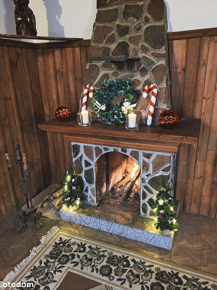 Dom z dużym potencjałem! 3 mieszkania, pracownia! - Pełny obrazek: 4/19