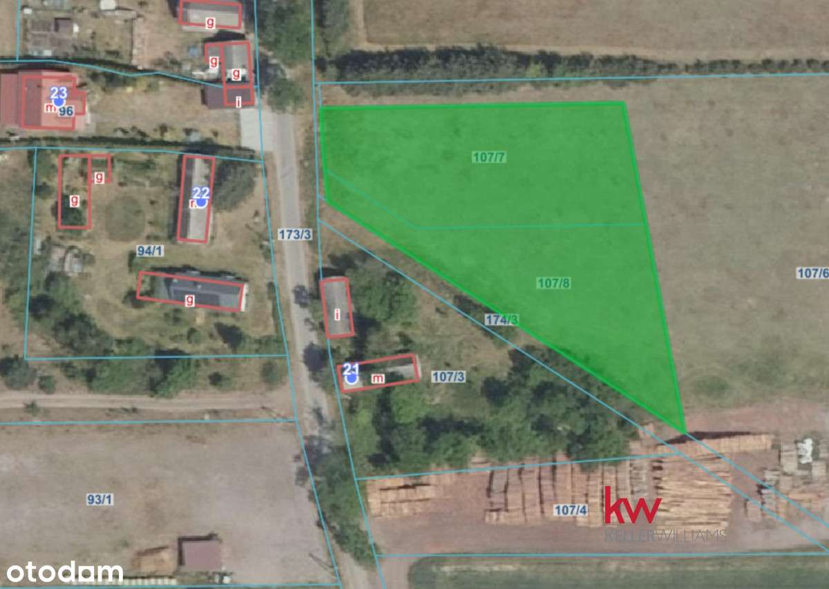 Duża działka budowlana z widokiem na las - Pełny obrazek: 4/6