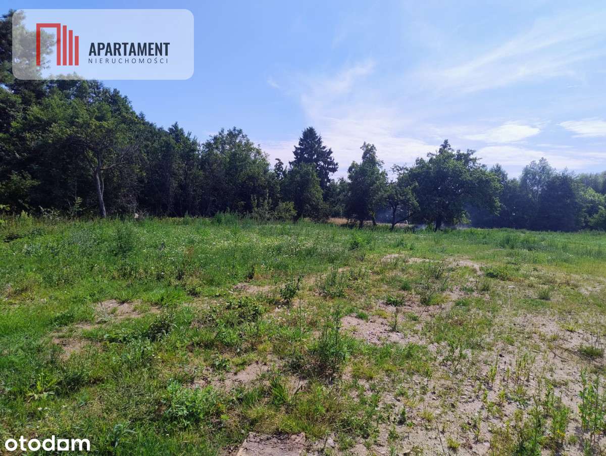 Działki na sprzedaż – spokój, zieleń, Bałtyk - Pełny obrazek: 5/6