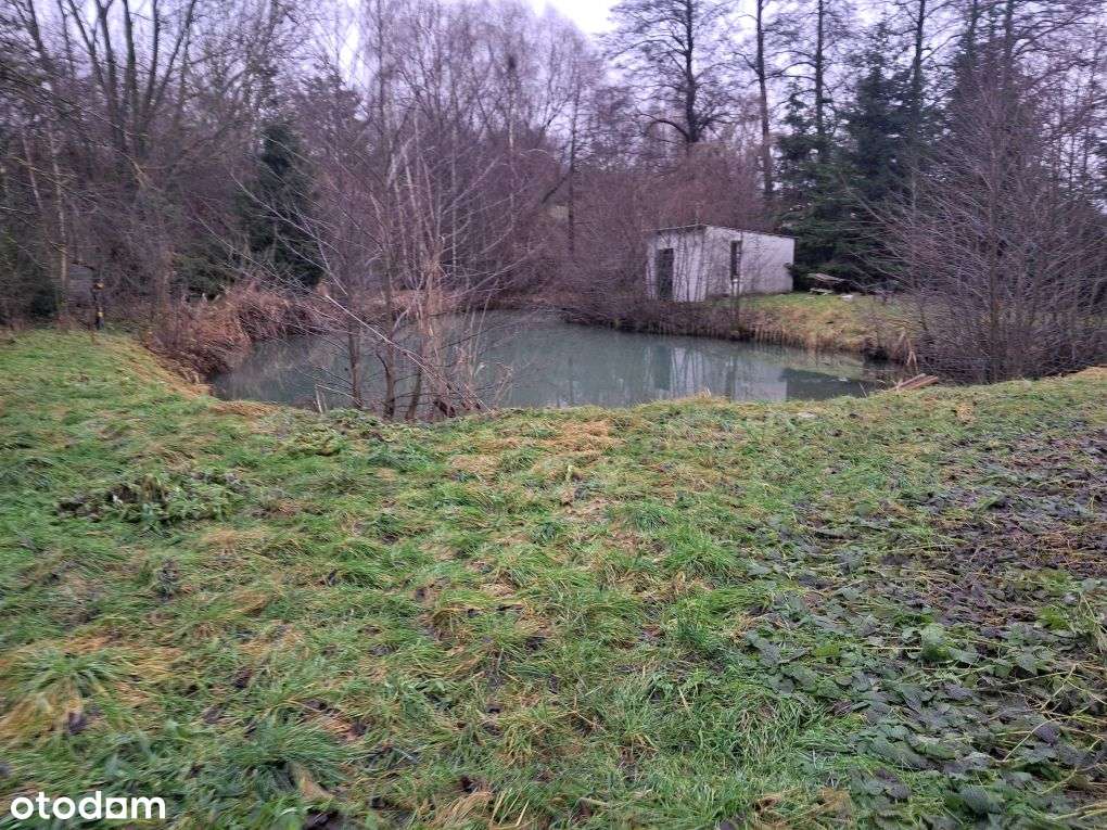 Dom, okolice Barcina, 170 m², duża działka 3000 m² i stawem rybnym-10