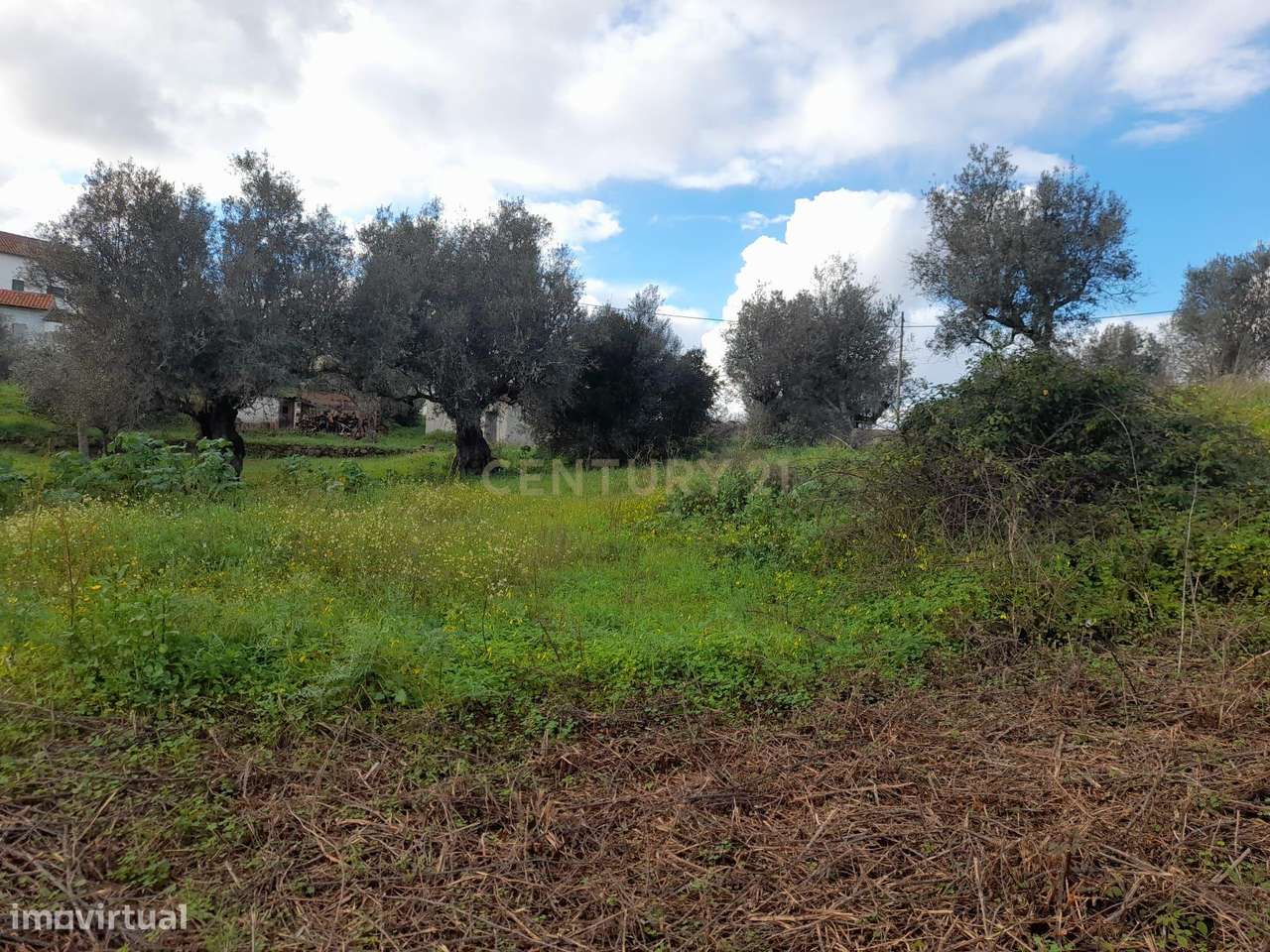 Terreno Rústico - Tapada do Forno, Belver - Grande imagem: 5/6