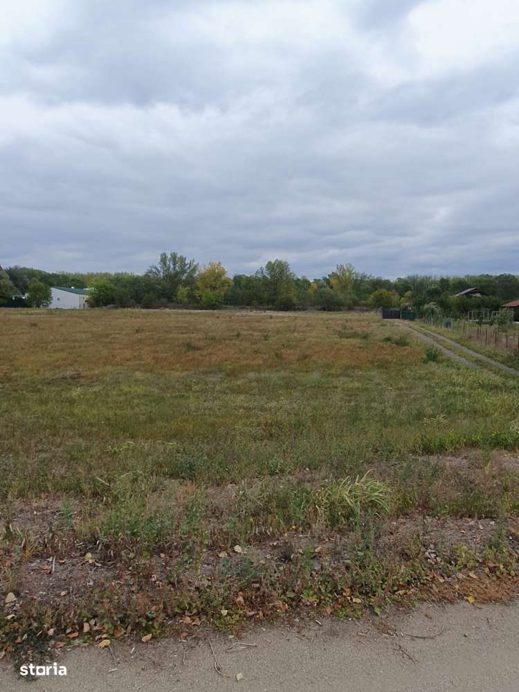 Vand teren langa padurea din Vladimirescu - Imagine principală: 5/10