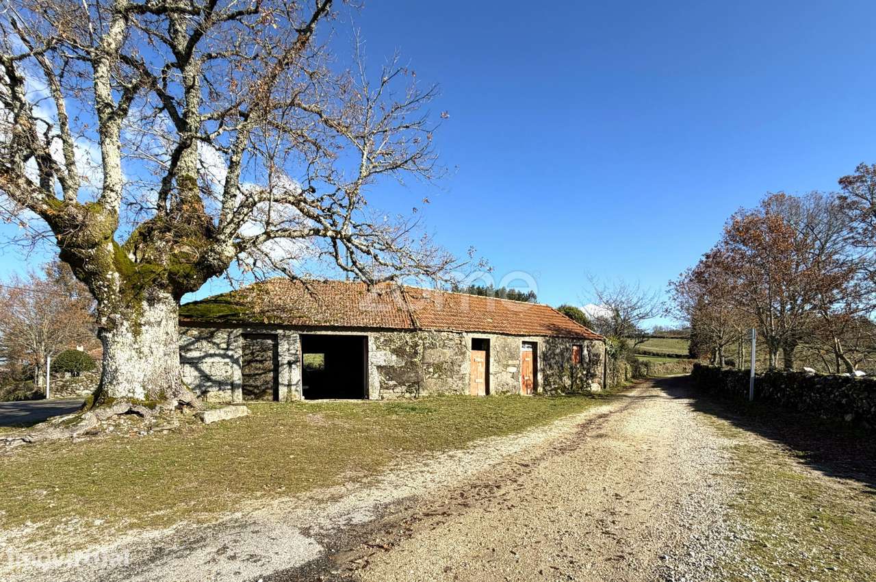 Terreno de 7.000 m²-9