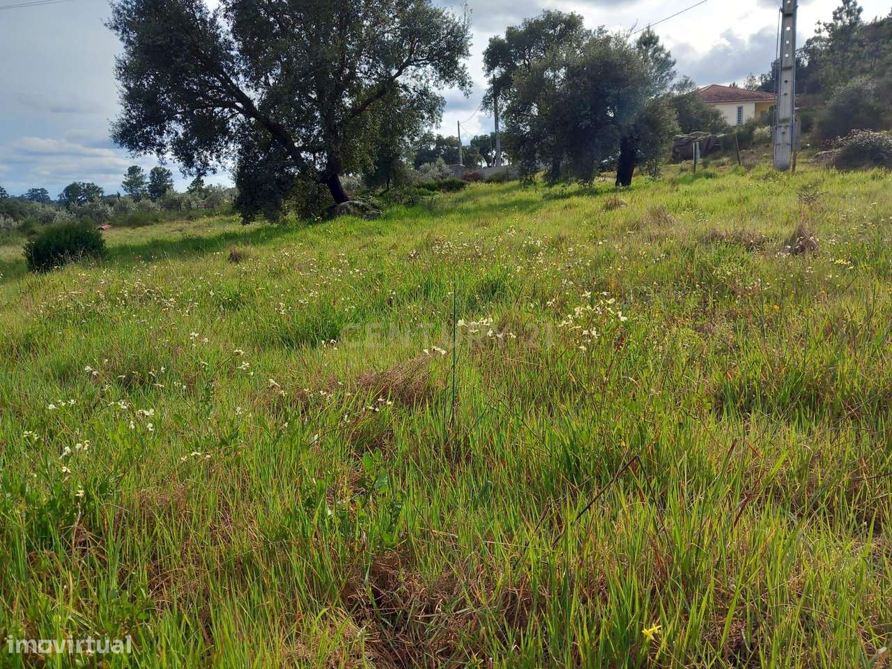 Terreno Rústico Póvoa e Rio de Moinhos, Castelo Branco. - Grande imagem: 2/14