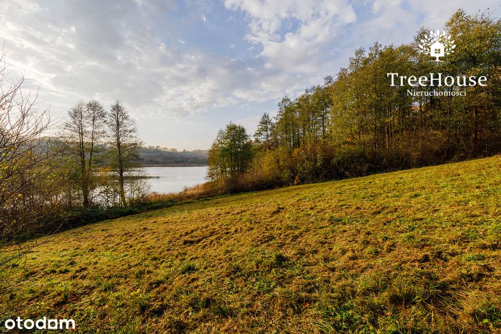 Działka siedliskowa z linią brzegową jeziora - Pełny obrazek: 4/16