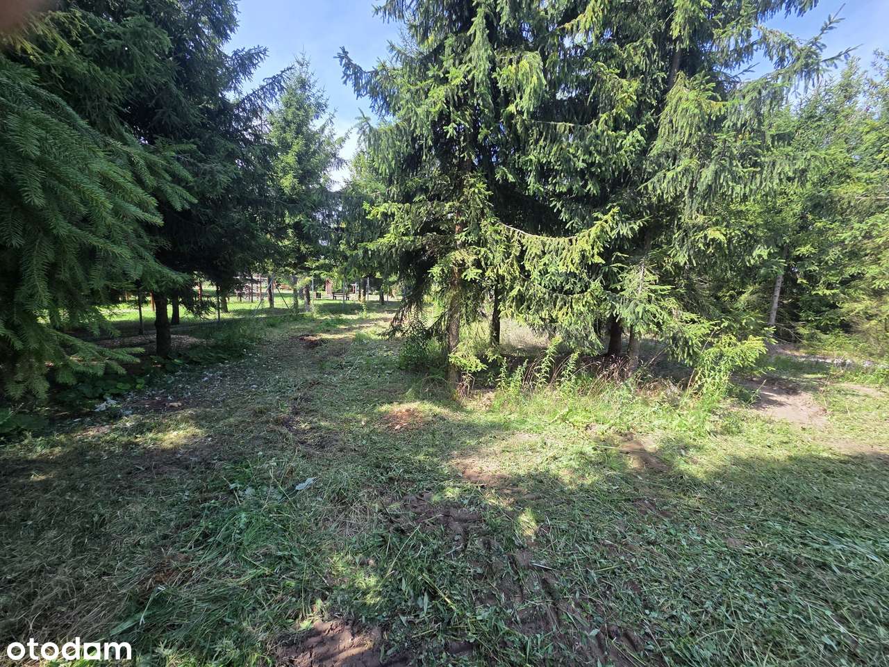 Działka budowlana w Zawoni, 30 km od Wrocławia-2