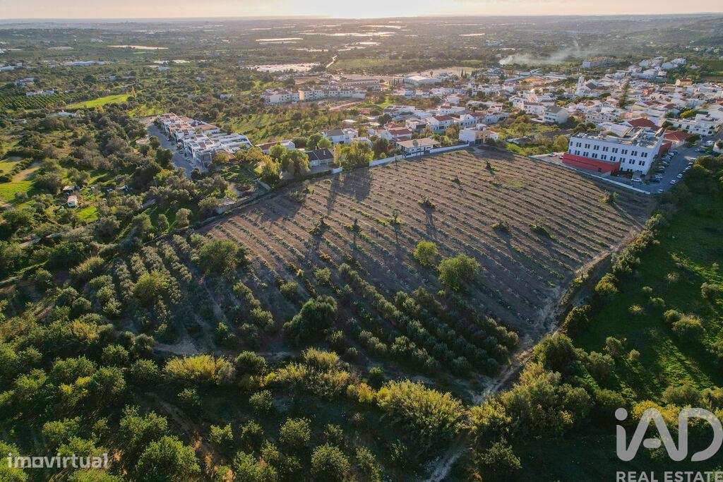 Terreno para construção em Conceição e Estoi de 8800,00 m2 - Grande imagem: 5/24