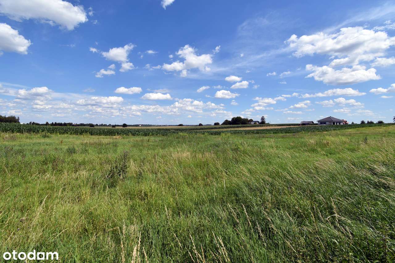 Działka budowlana z Warunkami Zabudowy - Gwizdaj pod Przeworskiem-6