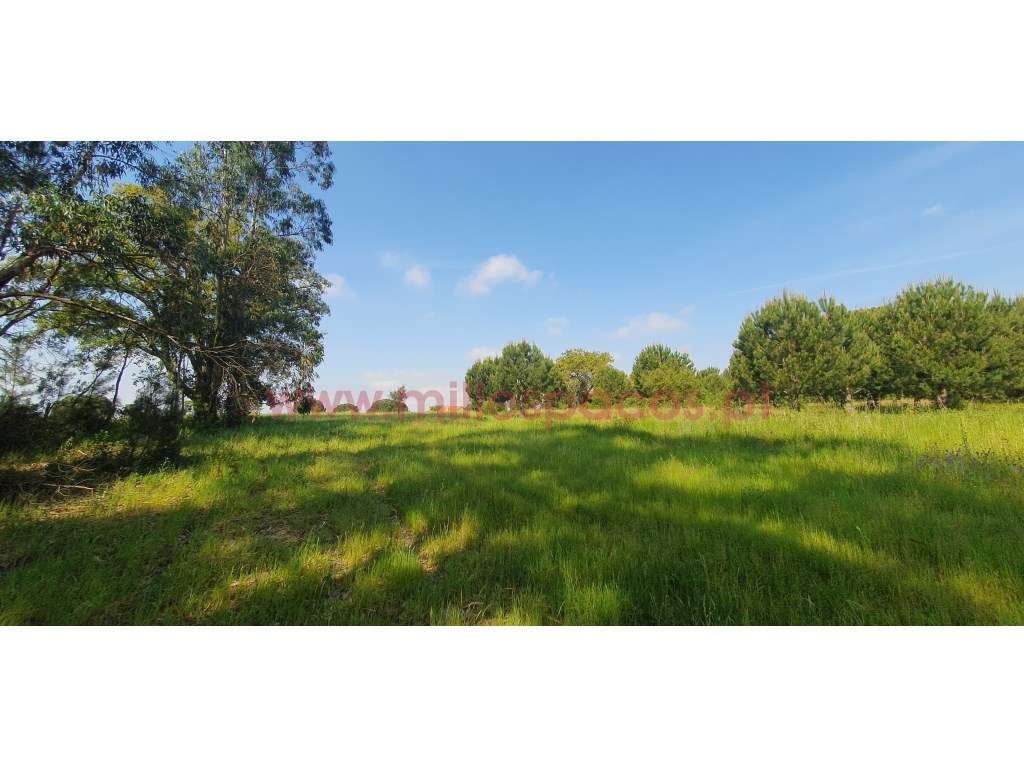 Terreno Gaveto com Estrada Nacional - Grande imagem: 4/31