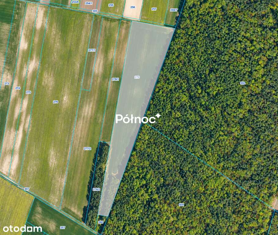 3,71 ha ziemi rolnej  część zalesiona | Depułtycze Królewskie-4