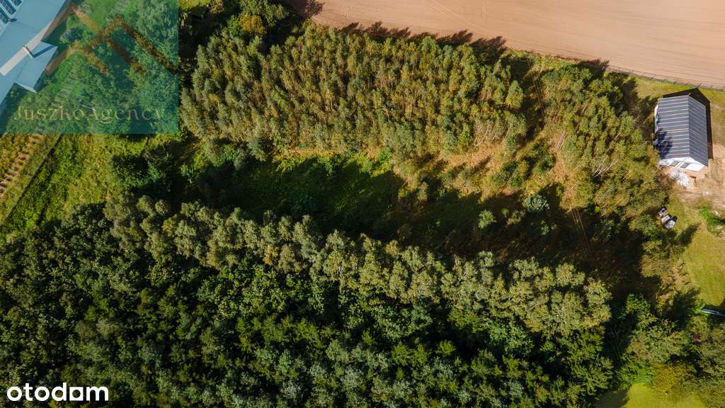 Rychnowo. Działki przy lesie z warunkami zabudowy.-10