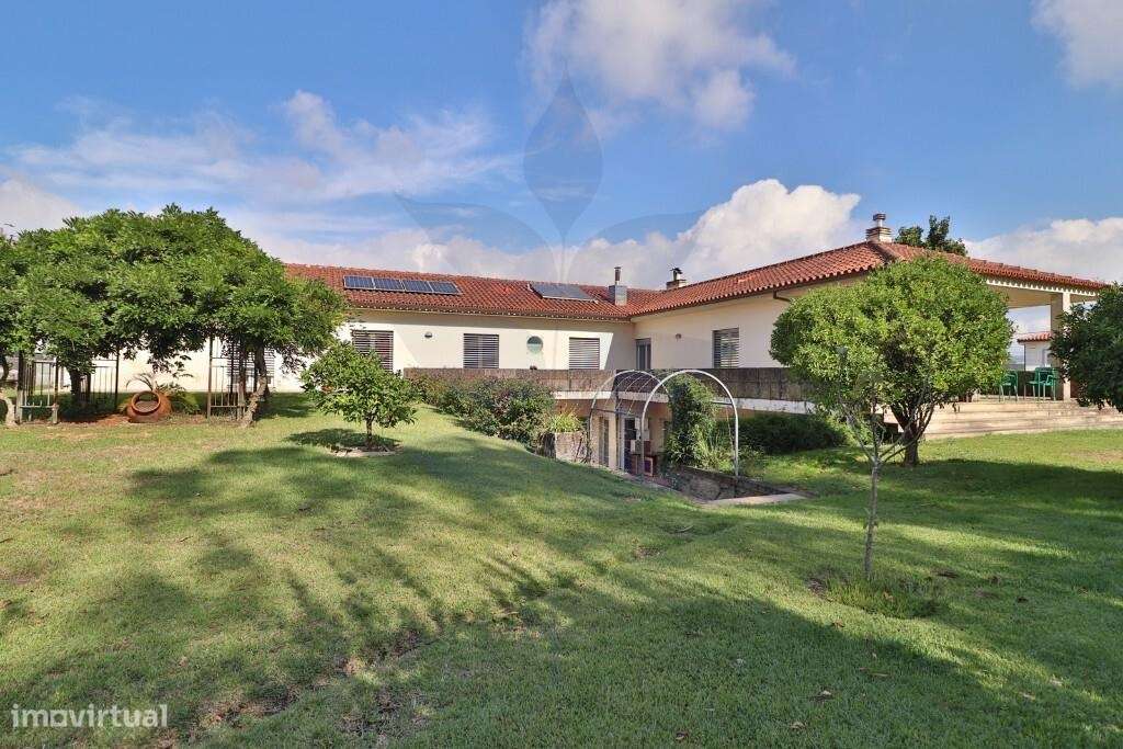 Moradia T4 em Vimieiro - Grande imagem: 1/60