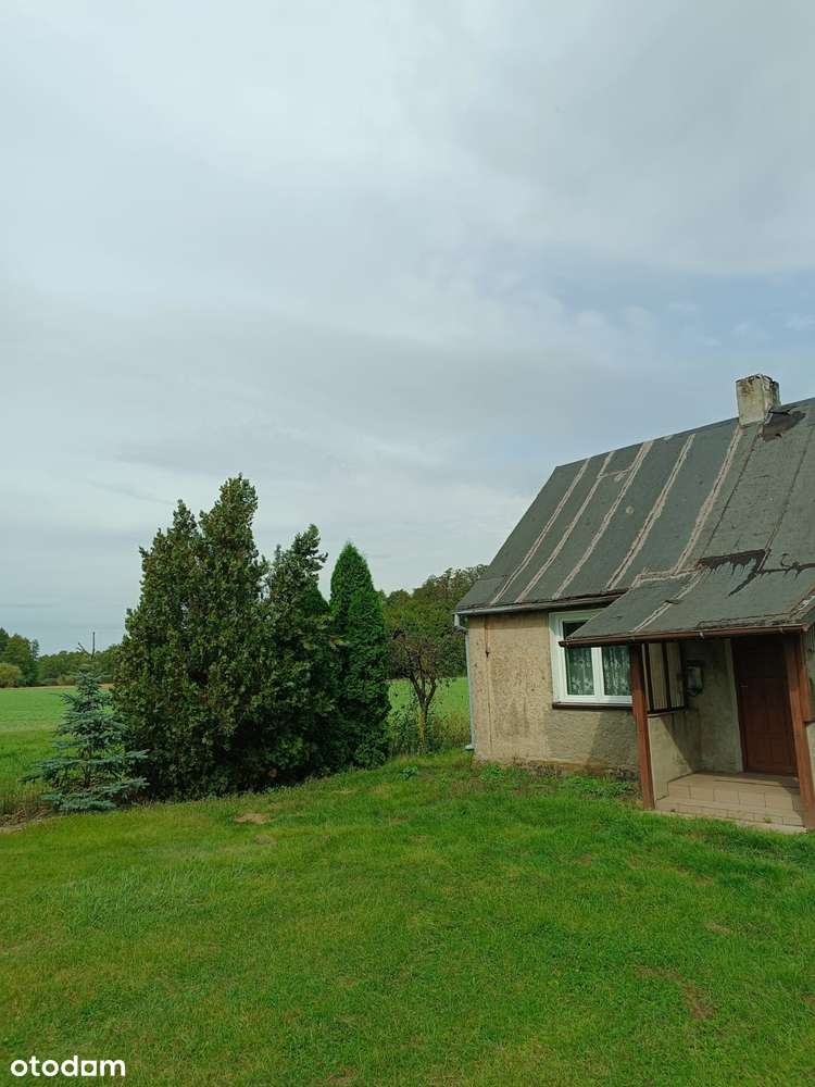 80m dom w Unisławicach na wynajem - Pełny obrazek: 3/19